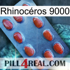 Rhinocéros 9000 06